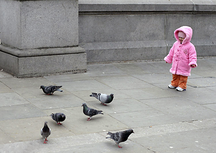 PARIS fillette pigeons